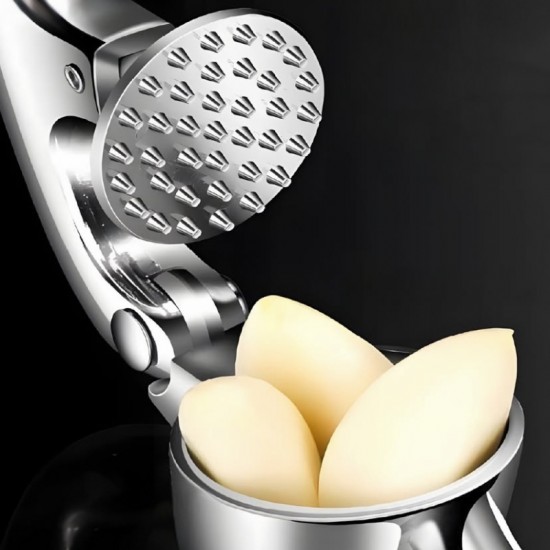 Stainless Steel Garlic Press
